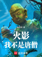 小說(shuō)《/data/image/20436.jpg》封面