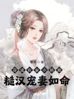 小說《/data/image/20508.jpg》封面