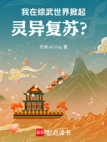 小說(shuō)《/data/image/20658.jpg》封面