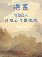 小說《/data/image/21478.jpg》封面