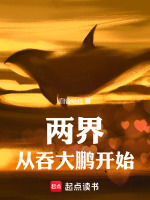 小說(shuō)《/data/image/21672.jpg》封面