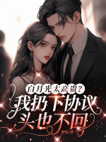 小說《/data/image/2266.jpg》封面