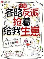 小說(shuō)《/data/image/2322.jpg》封面