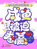 小說《/data/image/2504.jpg》封面