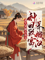 小說(shuō)《/data/image/2537.jpg》封面