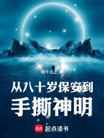 小說(shuō)《/data/image/272.jpg》封面
