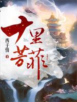 小說(shuō)《/data/image/3490.jpg》封面