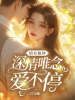 小說《/data/image/456.jpg》封面