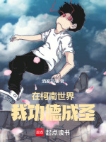 小說《/data/image/4560.jpg》封面