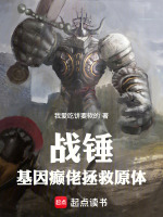 小說(shuō)《/data/image/4649.jpg》封面