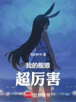 小說(shuō)《/data/image/6784.jpg》封面