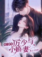 小說(shuō)《/data/image/70.jpg》封面