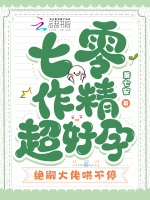 小說(shuō)《/data/image/8730.jpg》封面