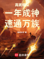 小說(shuō)《/data/image/9656.jpg》封面