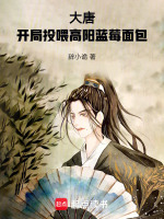 小說(shuō)《/data/image/969.jpg》封面